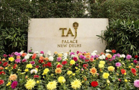 taj-palace8-3.jpg