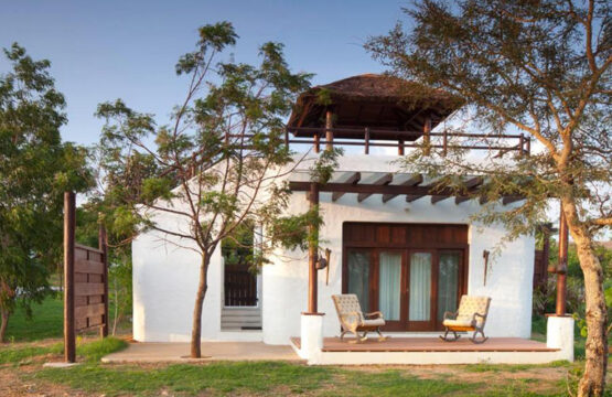 the-serai-bandipur4-1.jpg