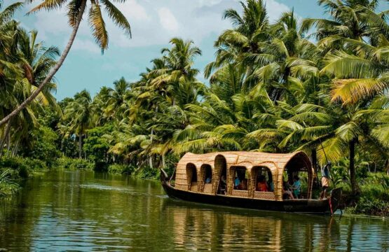 A-boat-floats-on-a-river-surrounded-by-lush-coconut-trees-at-Coconut-Lagoon-Retreat-in-India-555x360.jpg