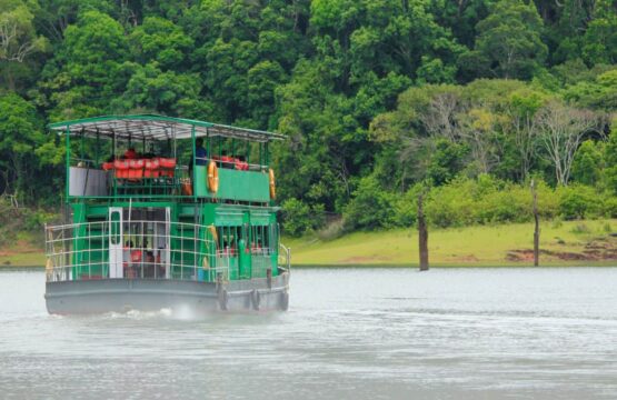 A-boat-with-a-green-roof-floats-on-the-water-in-Periyar-National-Park-India-555x360.jpg