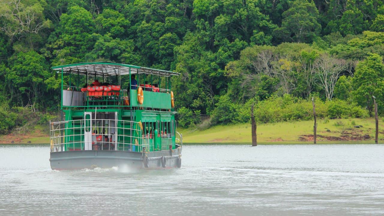 A-boat-with-a-green-roof-floats-on-the-water-in-Periyar-National-Park-India.jpg