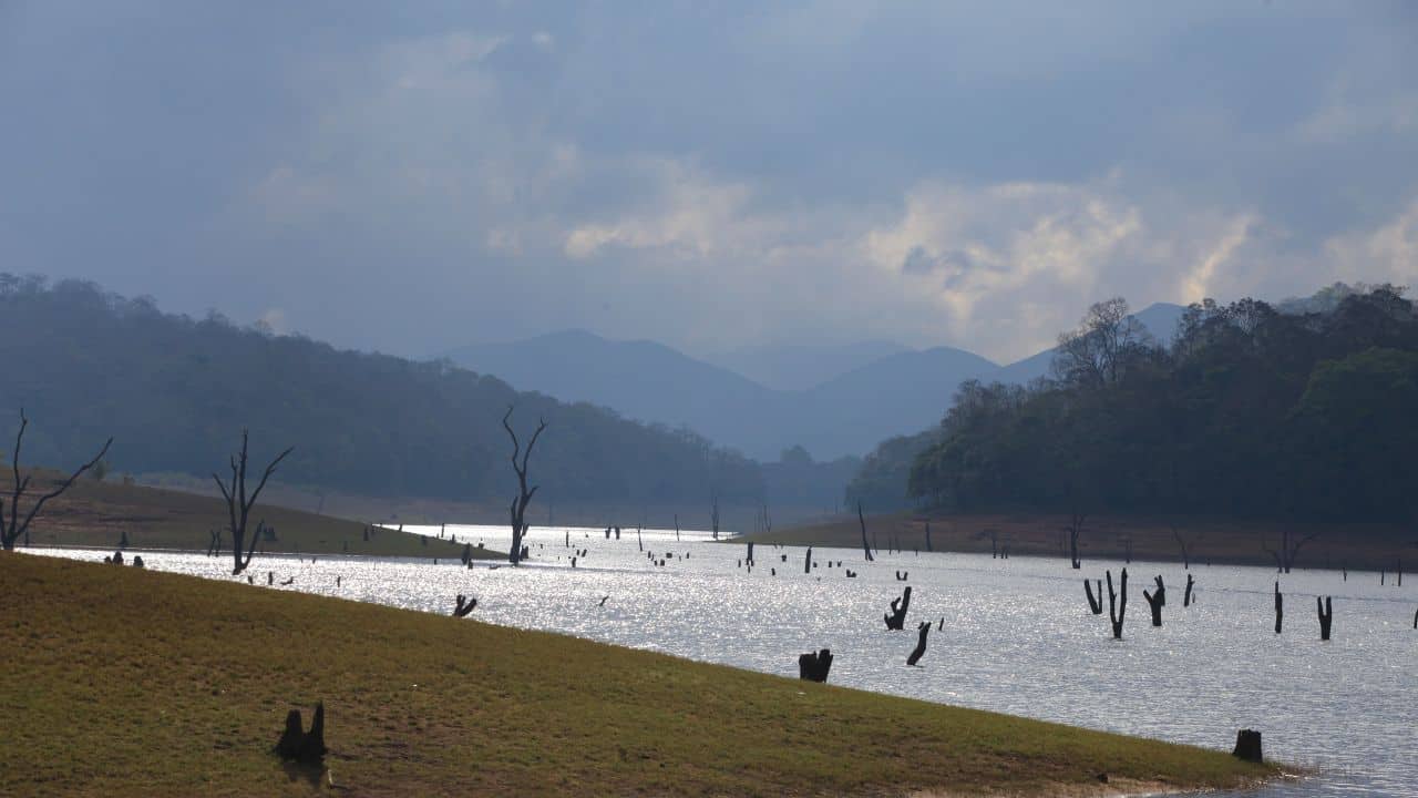 A-serene-lake-surrounded-by-dead-trees-with-majestic-mountains-in-the-background-located-in-Periyar-National-Park-India.jpg
