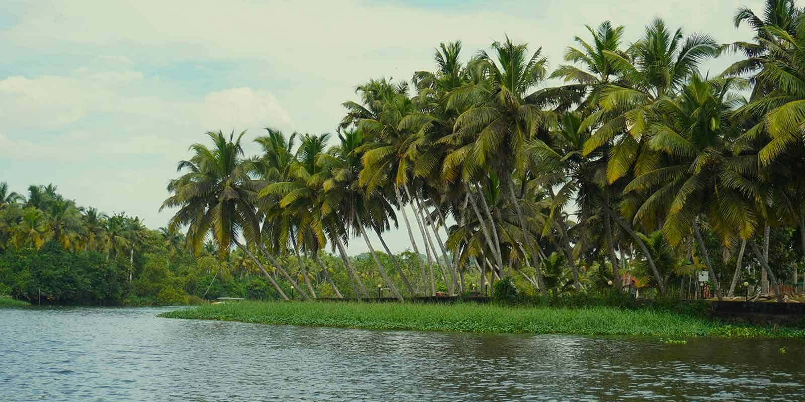 A-serene-river-at-Coconut-Lagoon-Retreat-India-with-coconut-trees-and-a-boat.jpg