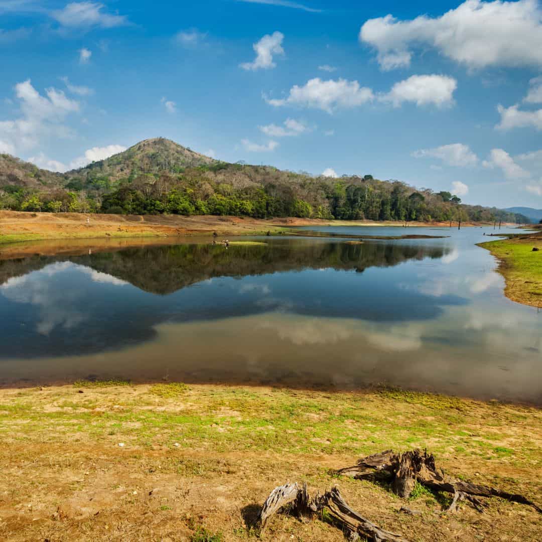 A tranquil lake encircled by greenery and trees, located in the heart of Periyar National Park, India A tranquil lake encircled by greenery and trees located in the heart of Periyar National park India