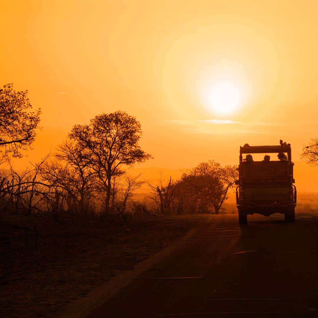 A truck drives along a road at sunset in Bandipur National Park, India A truck drives along a road at sunset in Bandipur National Park, India