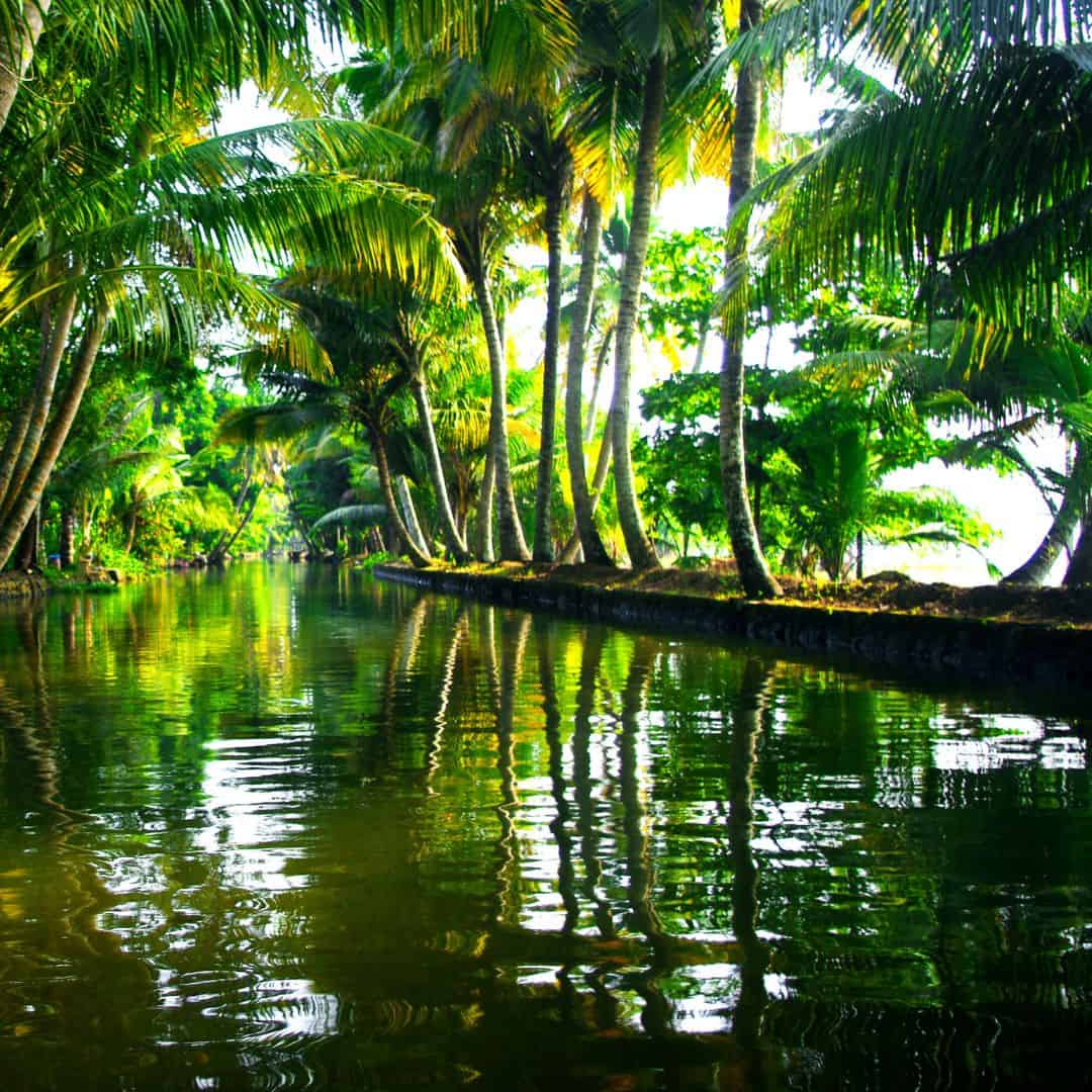 Kettuvallam Cruise – Kerala’s Timeless Backwater Voyage-1 Kettuvallam Cruise – Kerala’s Timeless Backwater Voyage