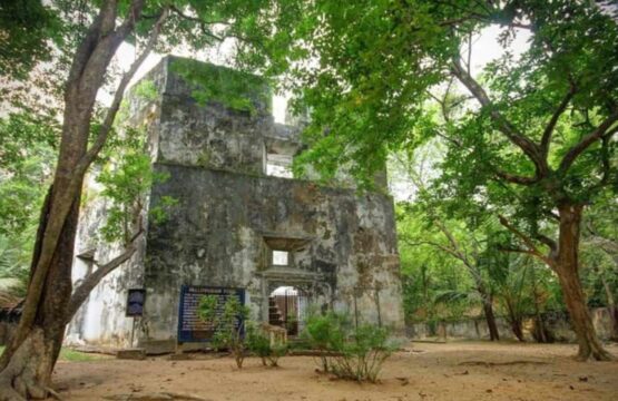 Ruins-of-an-old-fort-surrounded-by-dense-jungle-in-Muziris-India-555x360.jpg