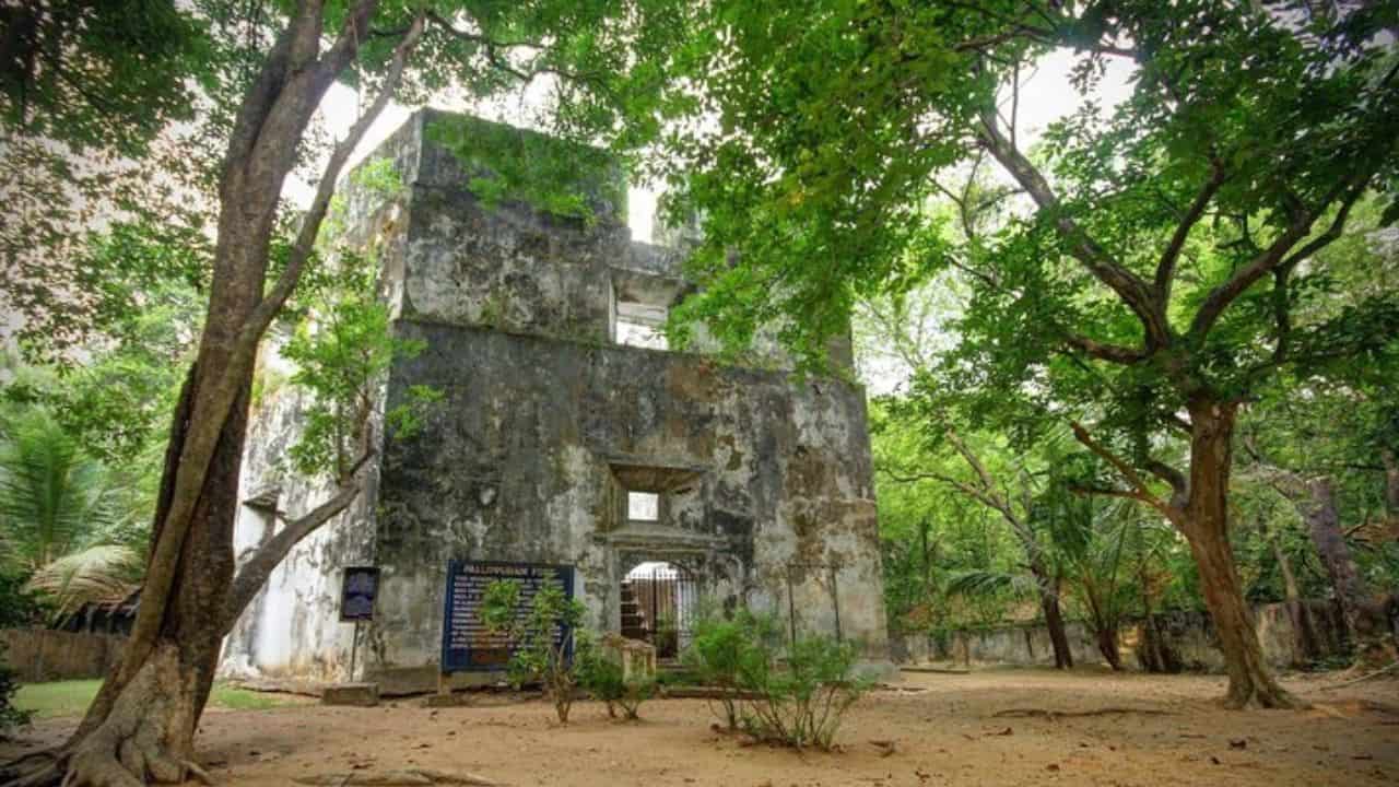 Ruins-of-an-old-fort-surrounded-by-dense-jungle-in-Muziris-India.jpg