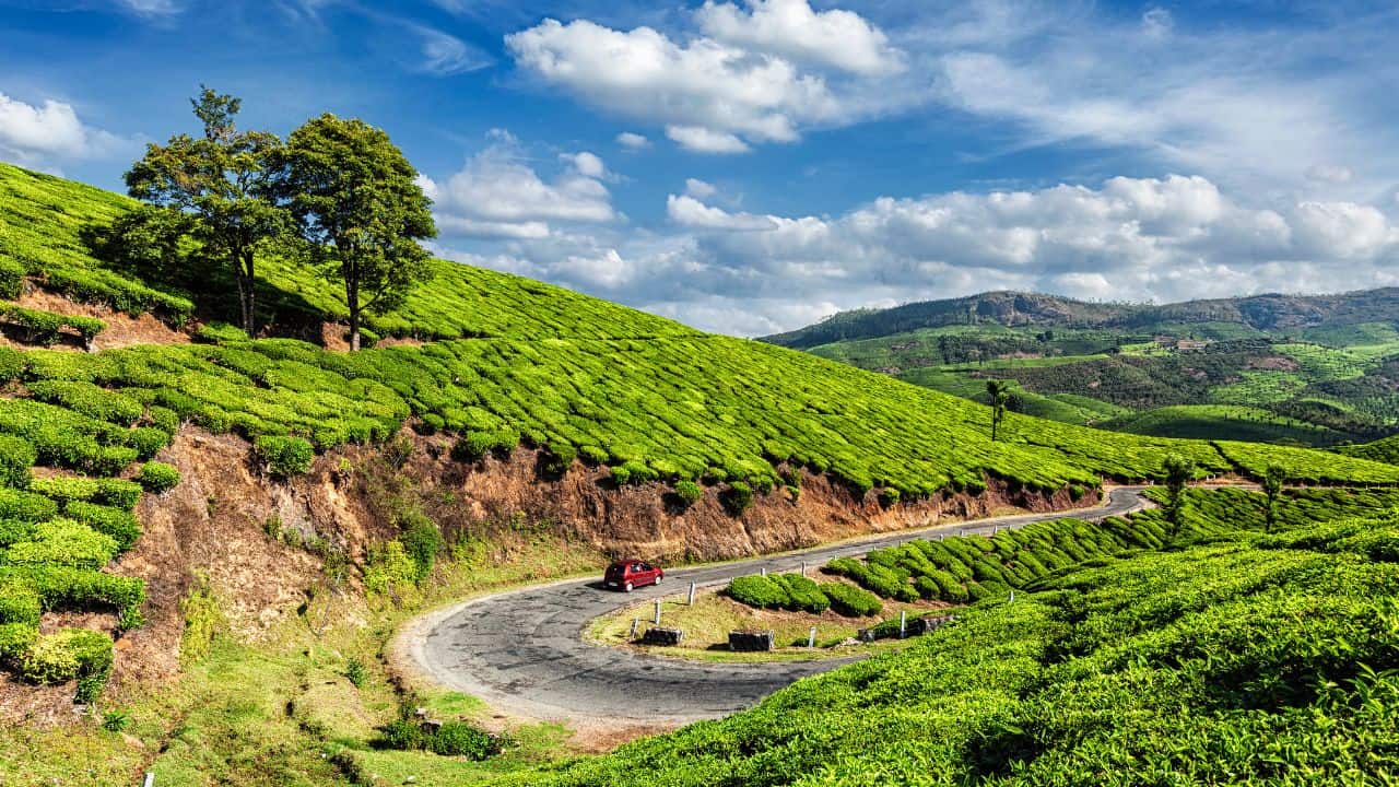 Serene-view-of-Munnars-tea-estate-in-Kerala-India.jpg