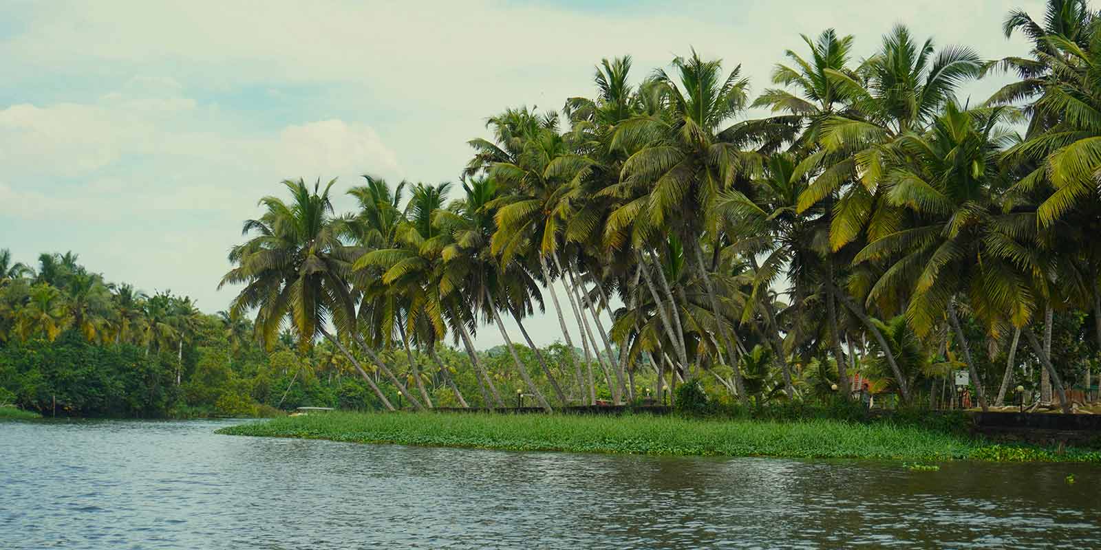 coconut-lagoon-retreat3.jpg