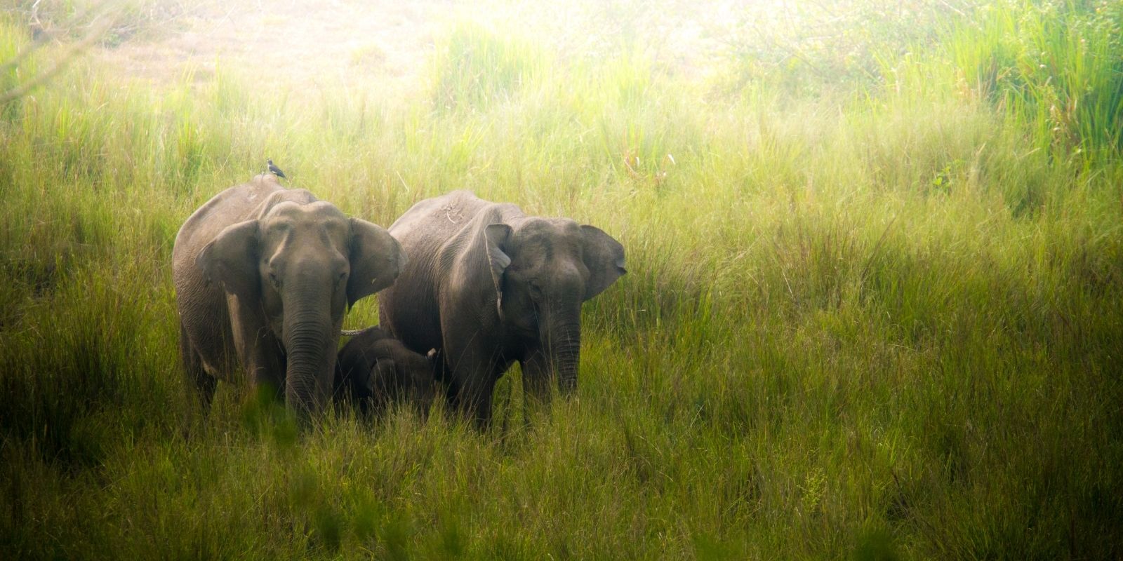 secrets-of-south-india-4.jpg