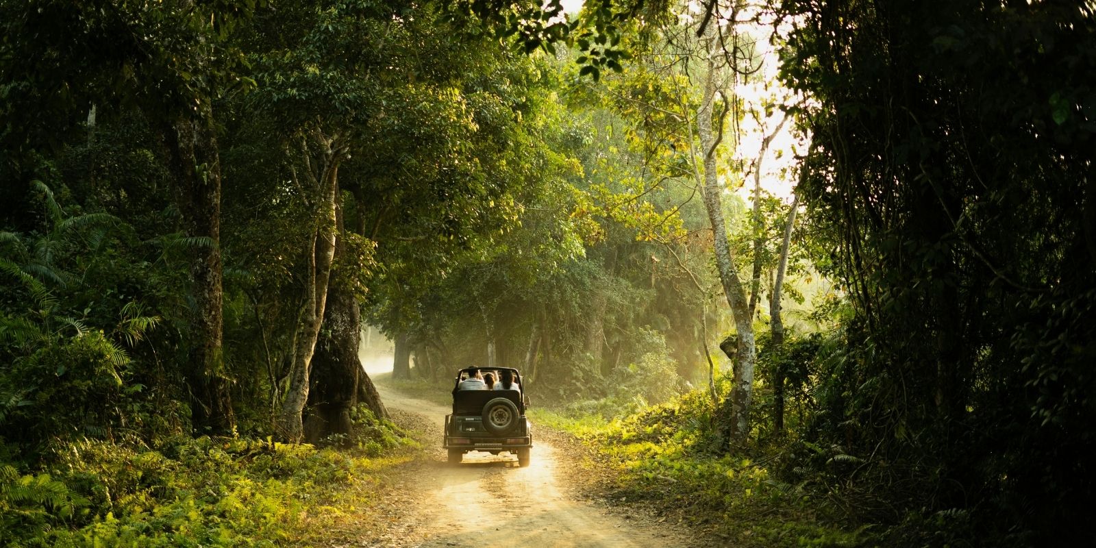 secrets-of-south-india-5.jpg
