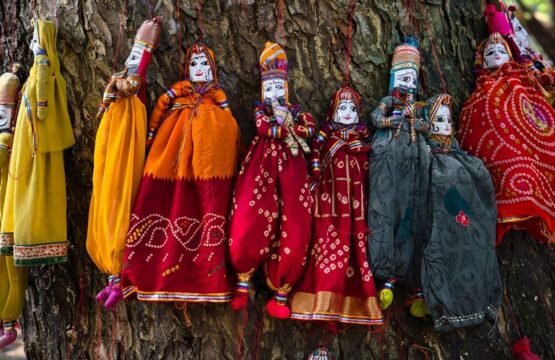secrets-of-south-india-8-555x360.jpg