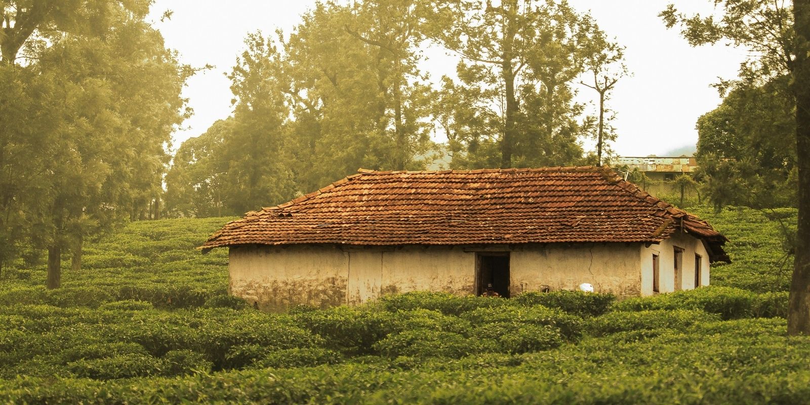 india-in-depth-1.jpg