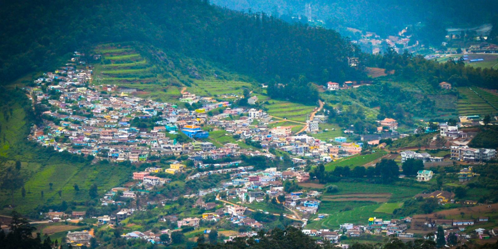Bandipur-India-2.jpg