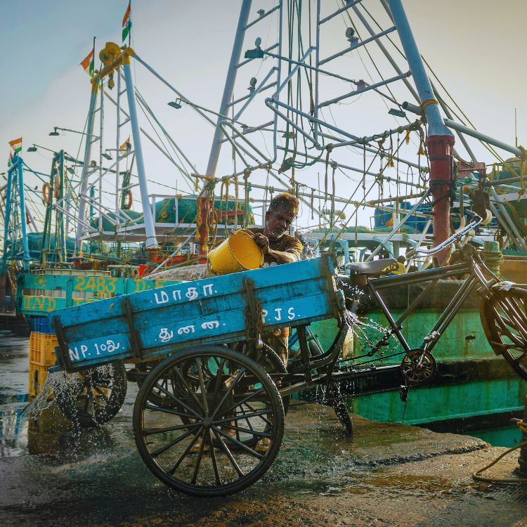 Chennai-India-750x750