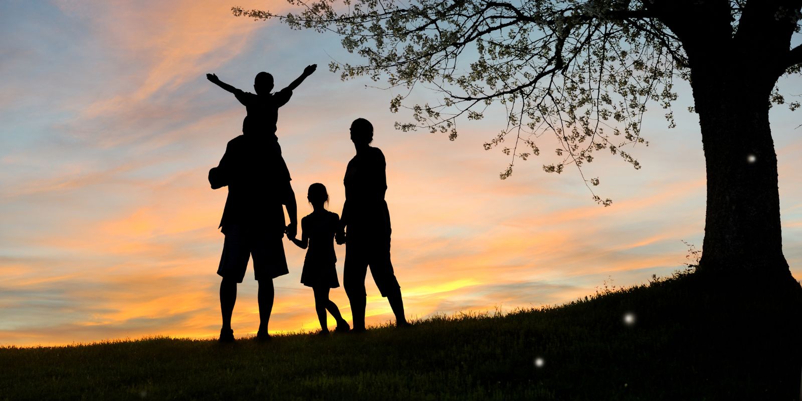 Family-Adventures-India-3.jpg