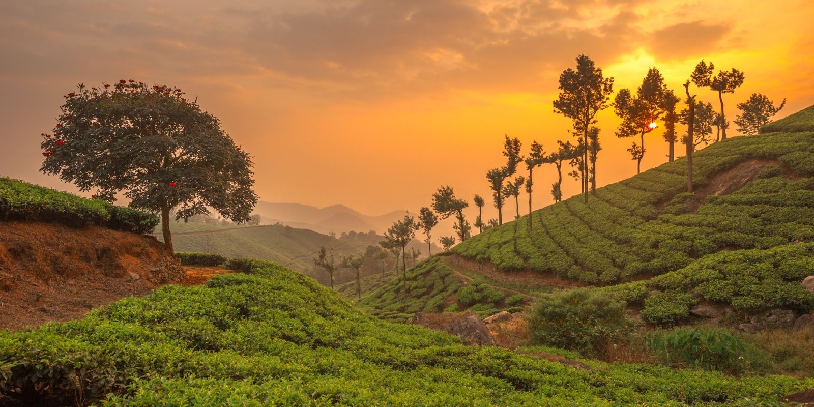 India-in-Depth-11.jpg