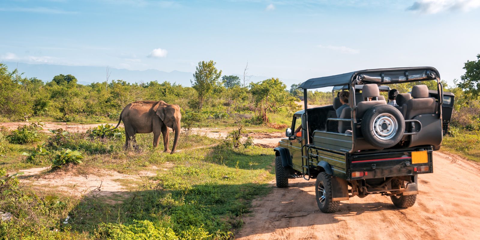 Nagarhole-6.jpg