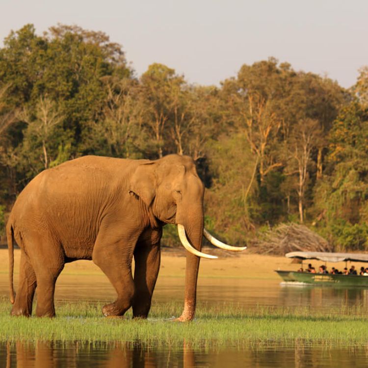 Nagarhole National Park (1)