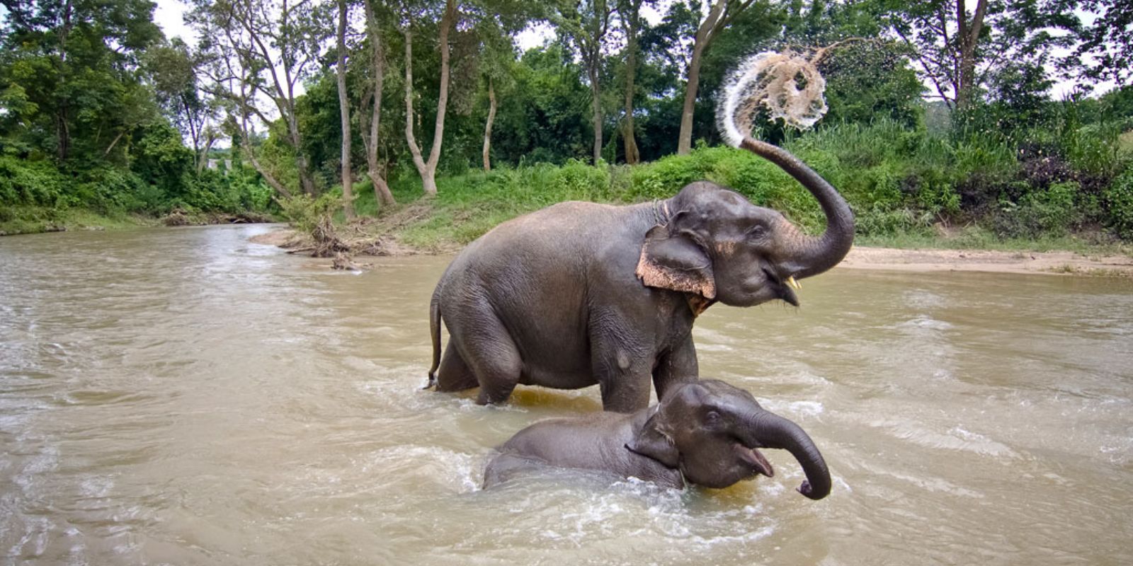 Nagarhole-National-Park-13.jpg