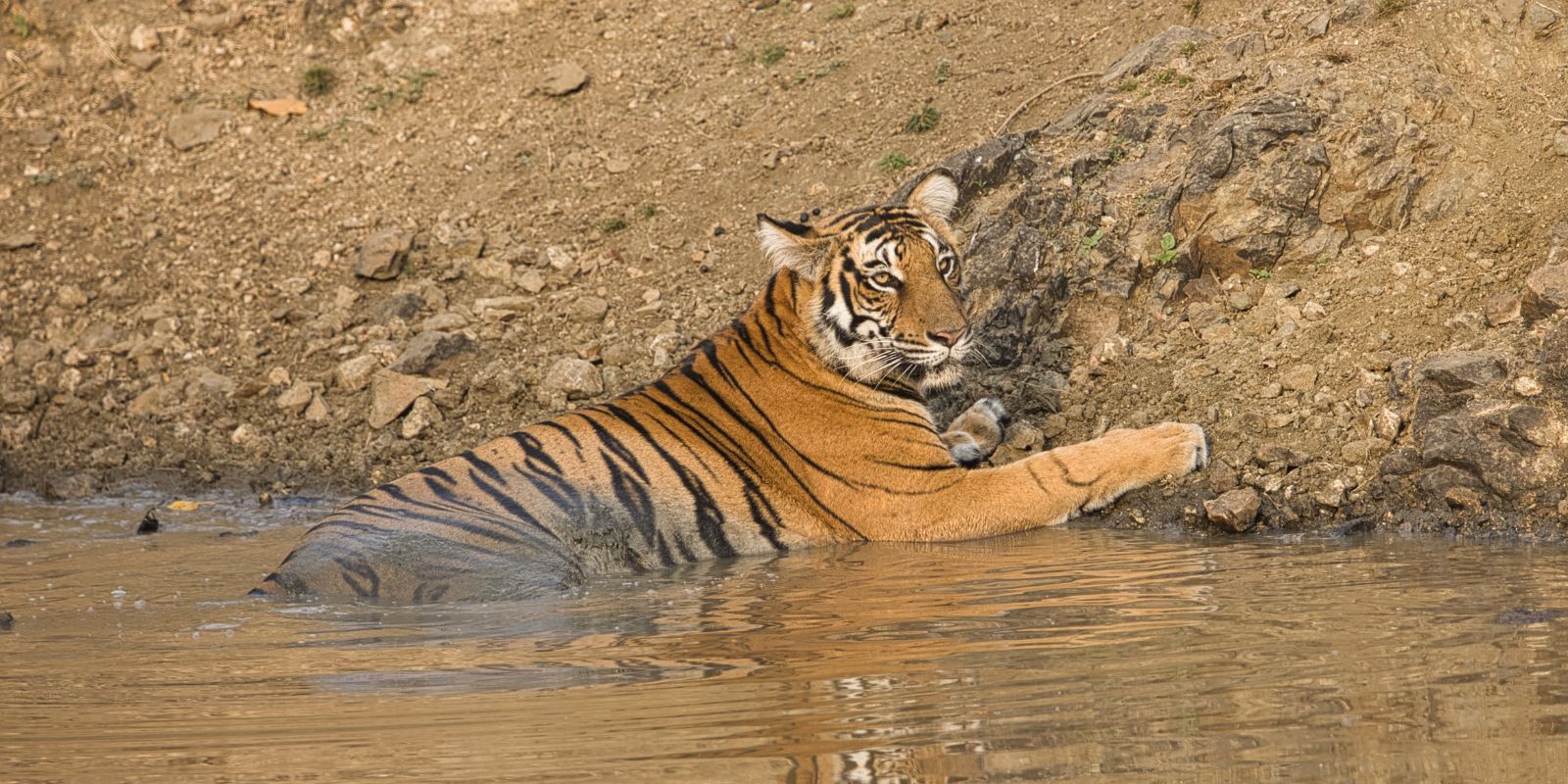 Nagarhole-National-Park-9.jpg