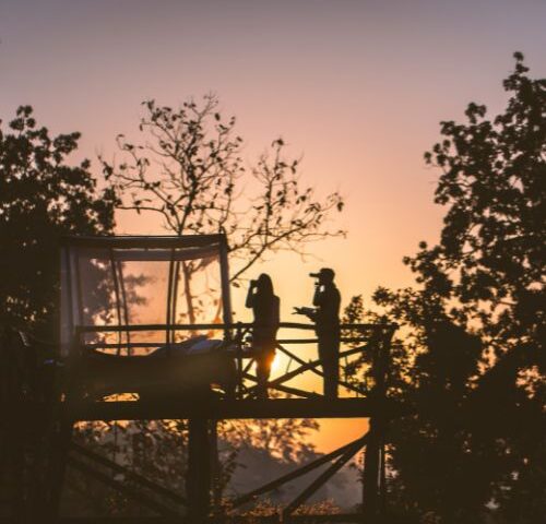 Tailor-Made or Group Travel? Why Aussies and Kiwis Should Choose Private Tours in Sri Lanka & India