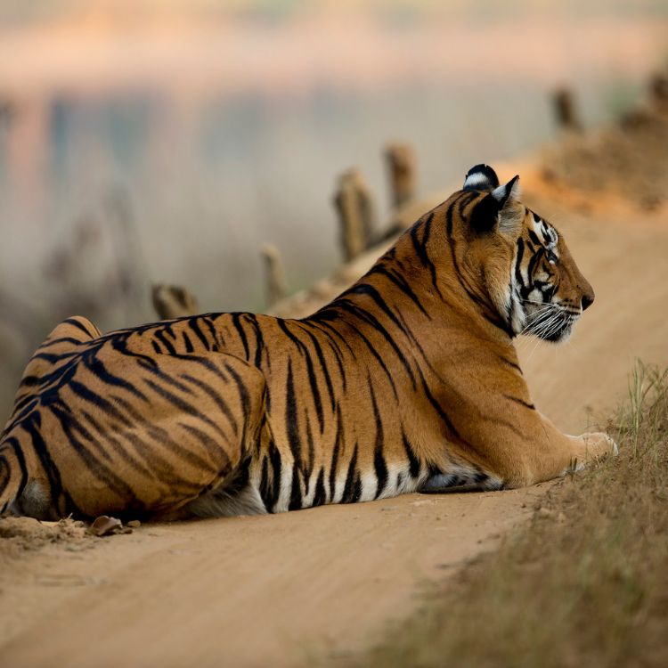 slider-image1