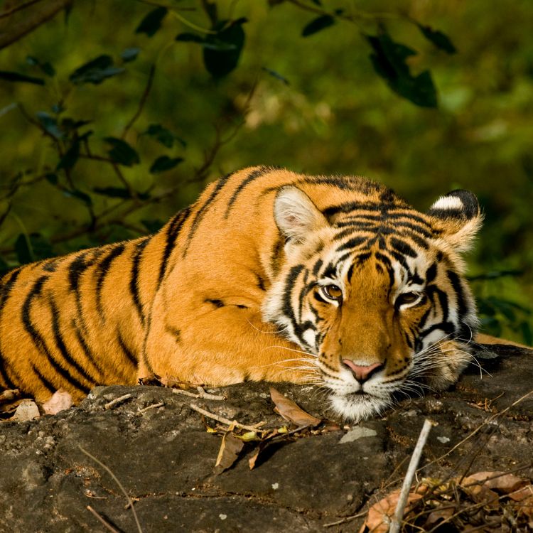 slider-image3