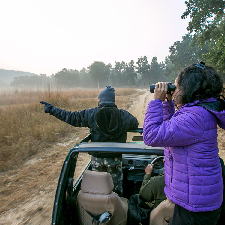 A woman and a man in a jeep, gazing at something in the Indian landscape A woman and a man in a jeep gazing at something in the indian landscape