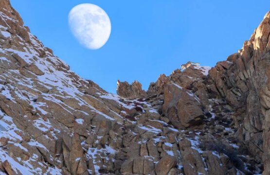 NMG1826-Edit-Edit_snow-leopard-Uncia-Himalayas-moon.jpg
