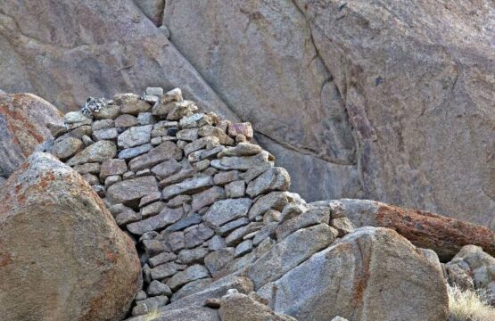 Snow-Leopard-A-perflect-blend-of-ladakh_s-wildlife-culture-and-the-landsc-1-scaled-1.jpg