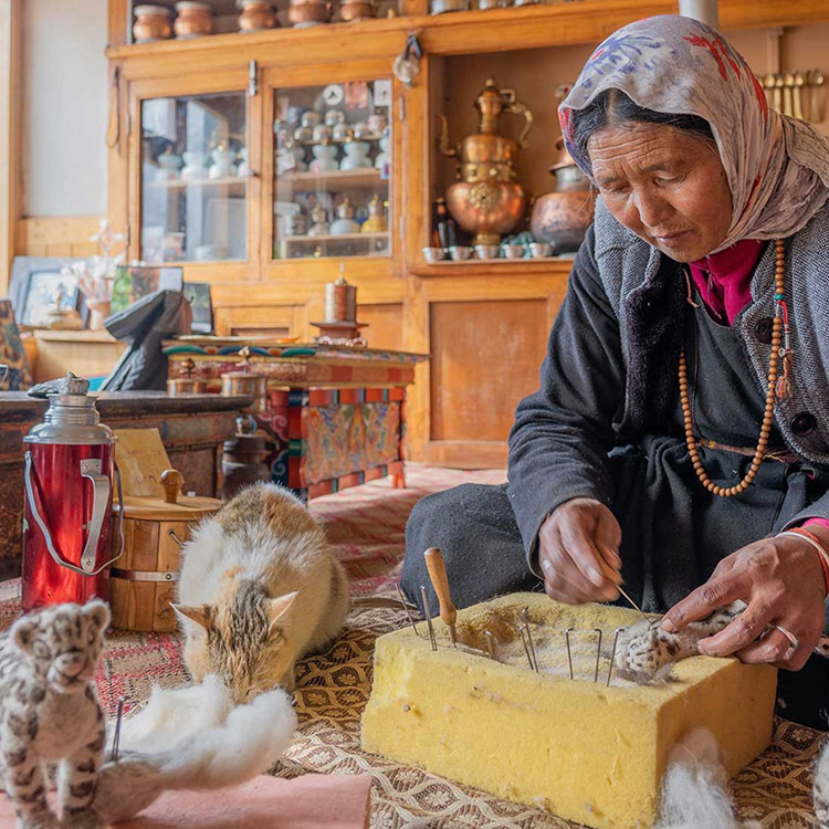 Snow-Leopard-Tour-India2