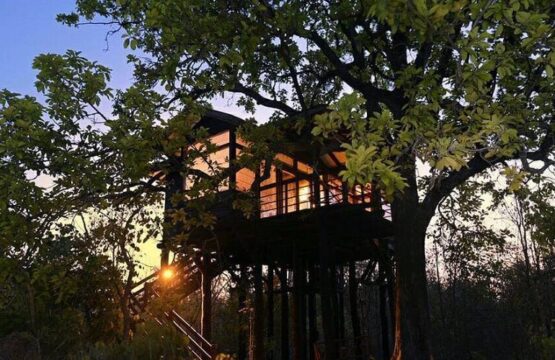 pench-tree-lodge-2.jpg