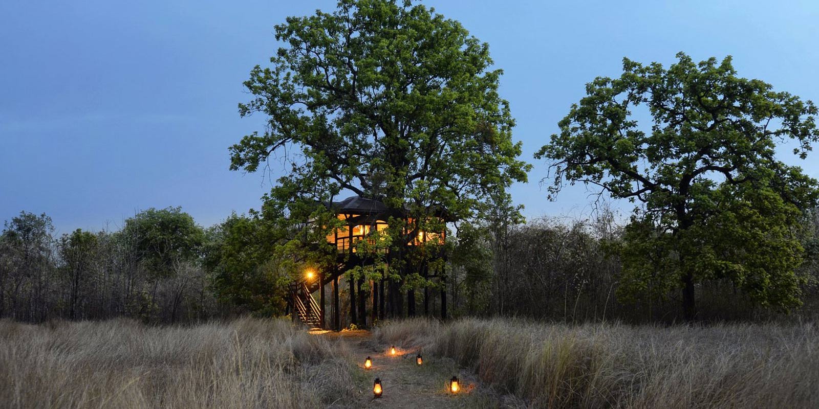 pench-tree-lodge1.jpg