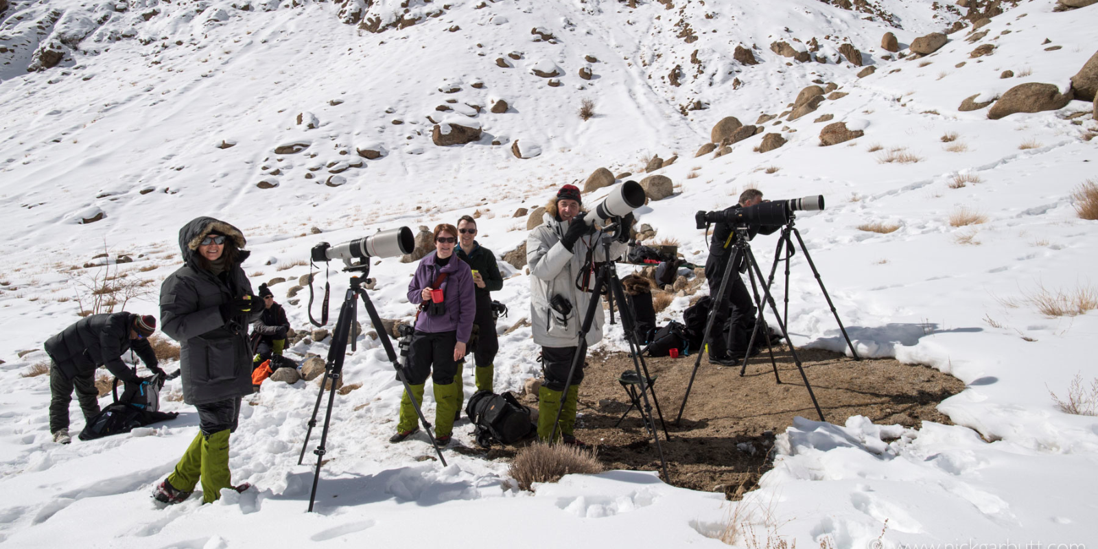 Snow-Leopard-Tour-India-%E2%80%93-A-Private-Journey-from-the-Himalayas-to-Indias-Tiger-Country-11.png
