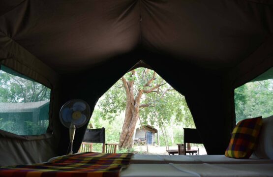 big-game-camps-wilpattu-acc-4.jpg