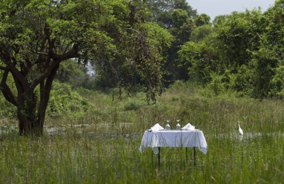 big-game-camps-wilpattu-ga-6.jpg