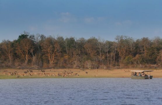 evolve-back-kabini-20-1.jpg