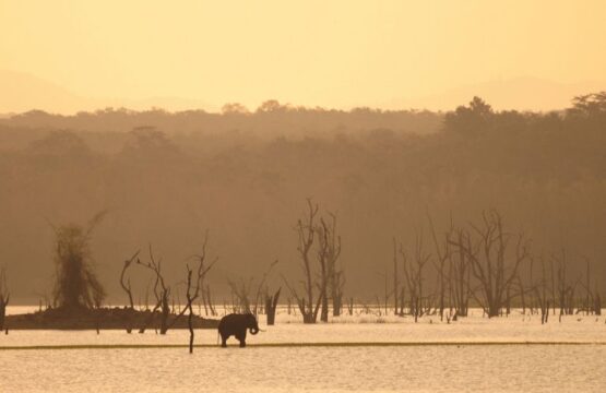 evolve-back-kabini-21.jpg