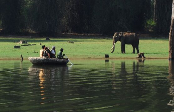 kabini-river-lodge-11.jpg