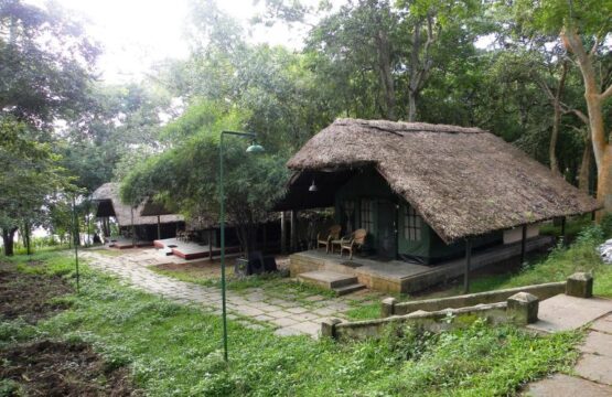 kabini-river-lodge-12.jpg