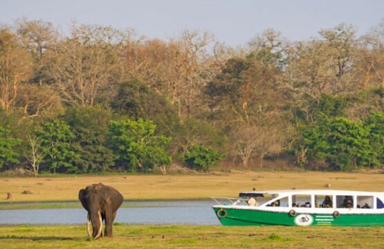 kabini-river-lodge2-1.jpg