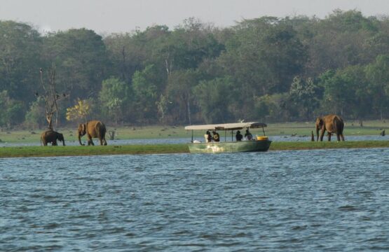 kabini-river-lodge4.jpg