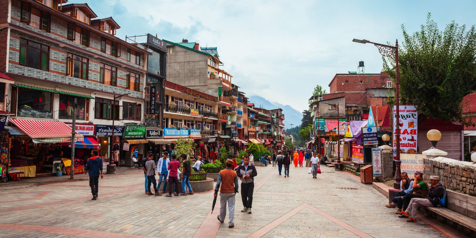 manali-6.jpg