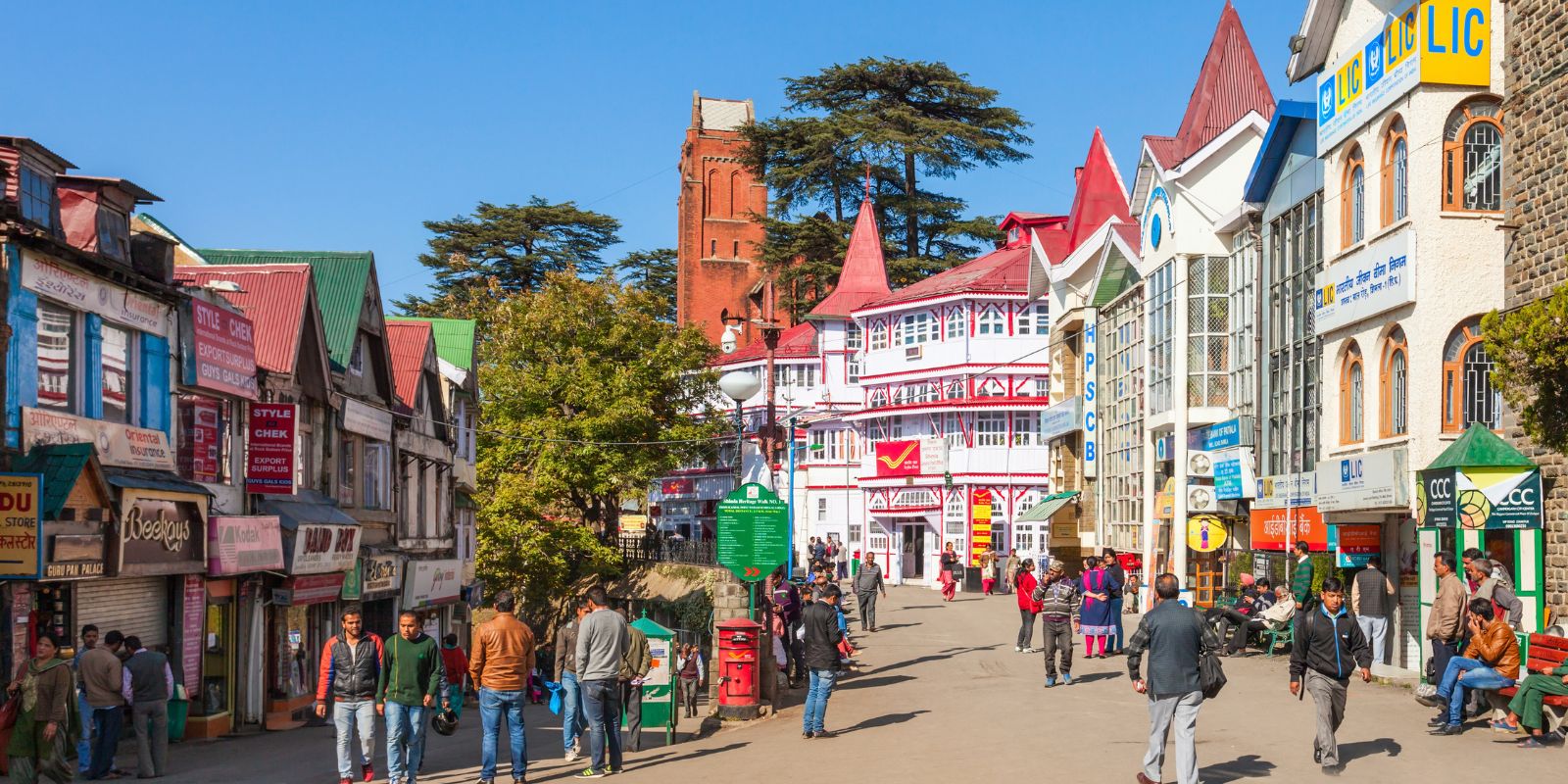 shimla2.jpg