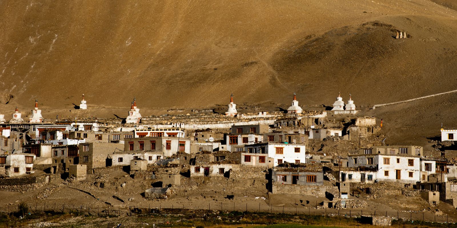 Himalayan-Sanity-Tea-Trails-Timeless-Villages-Tibetan-Culture-3.jpg