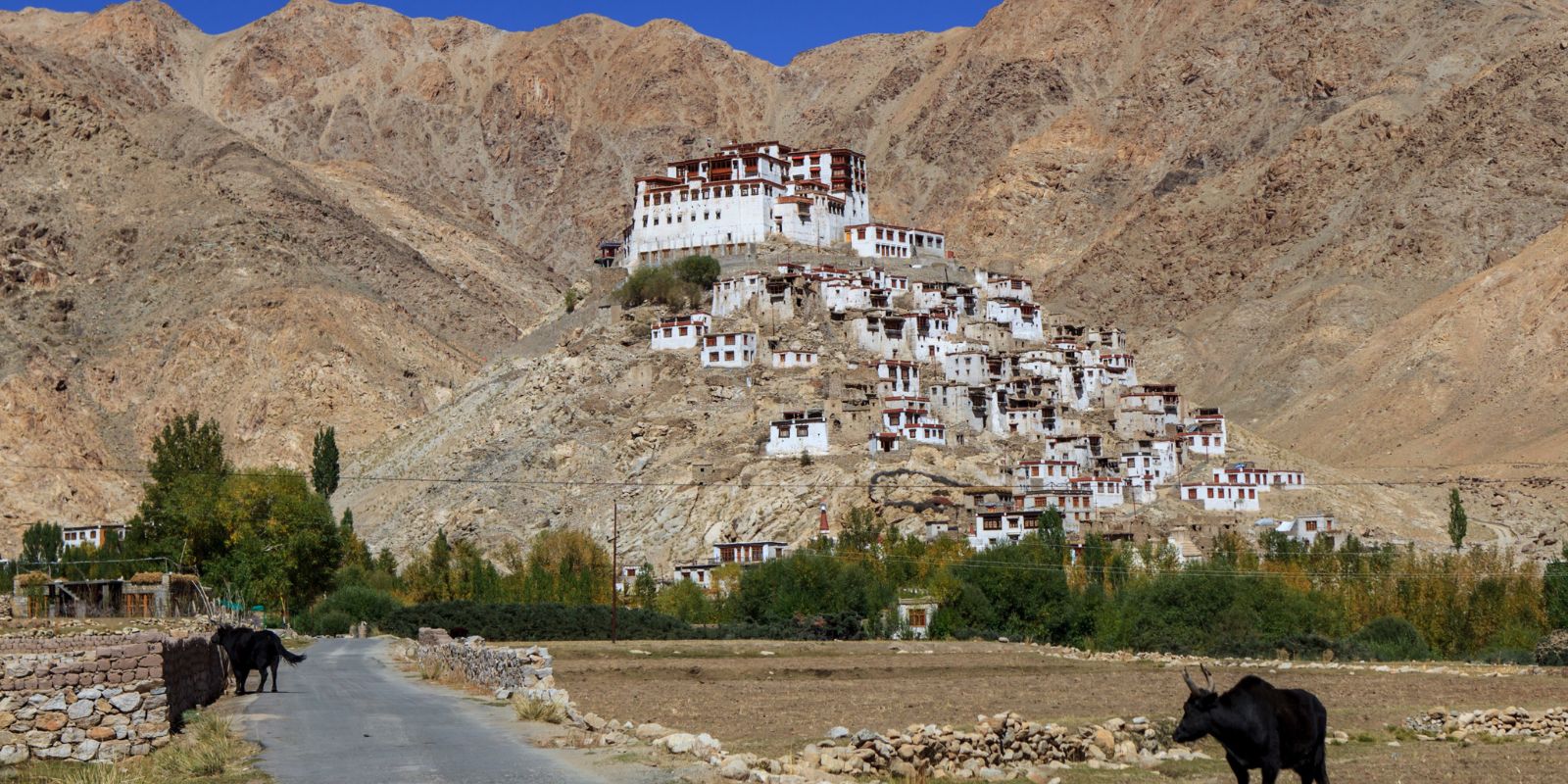 Himalayan-Sanity-Tea-Trails-Timeless-Villages-Tibetan-Culture-4.jpg