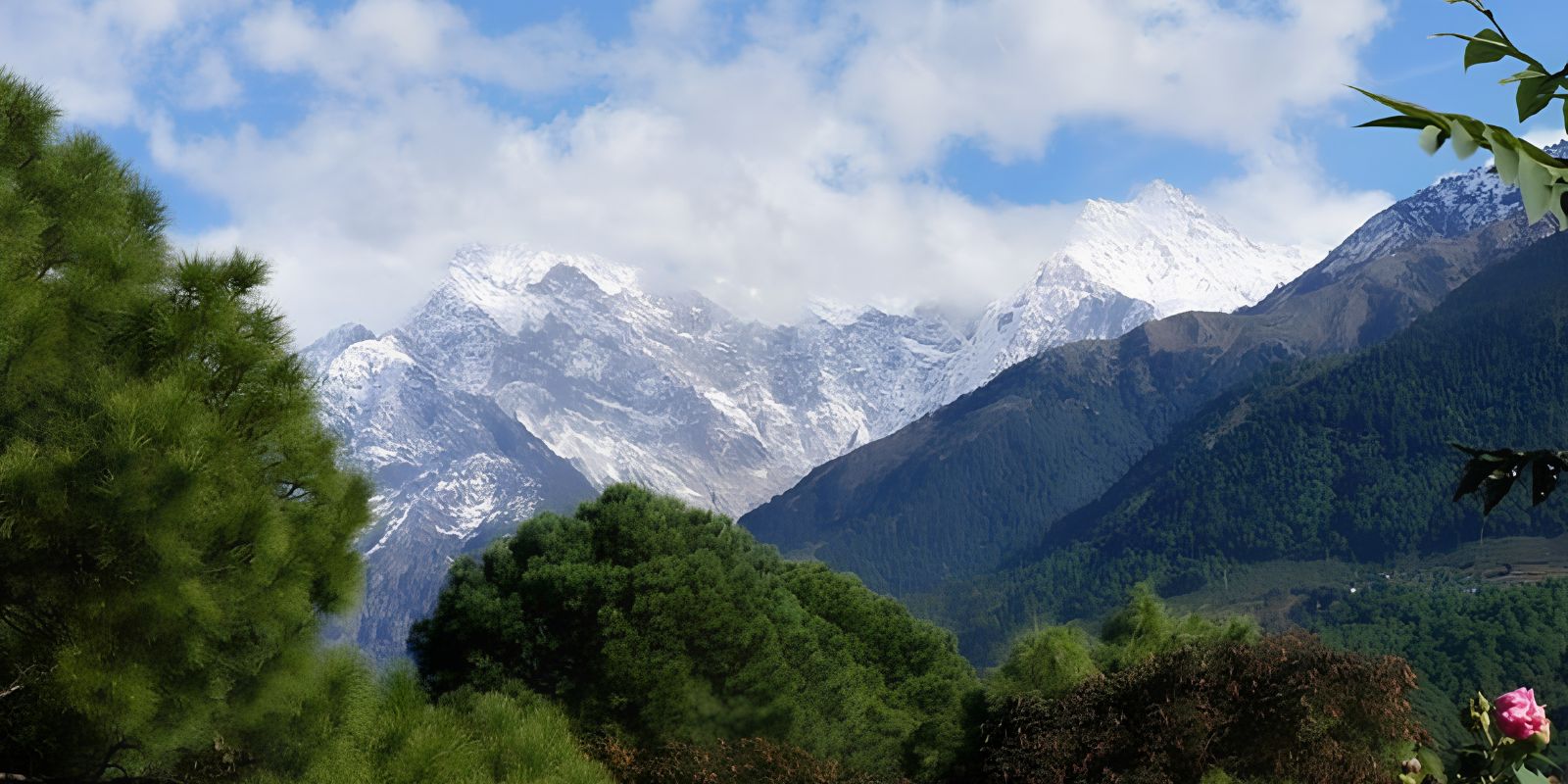 Palampur-Tea-Art-and-Dhauladhar-Landscapes-2.jpg