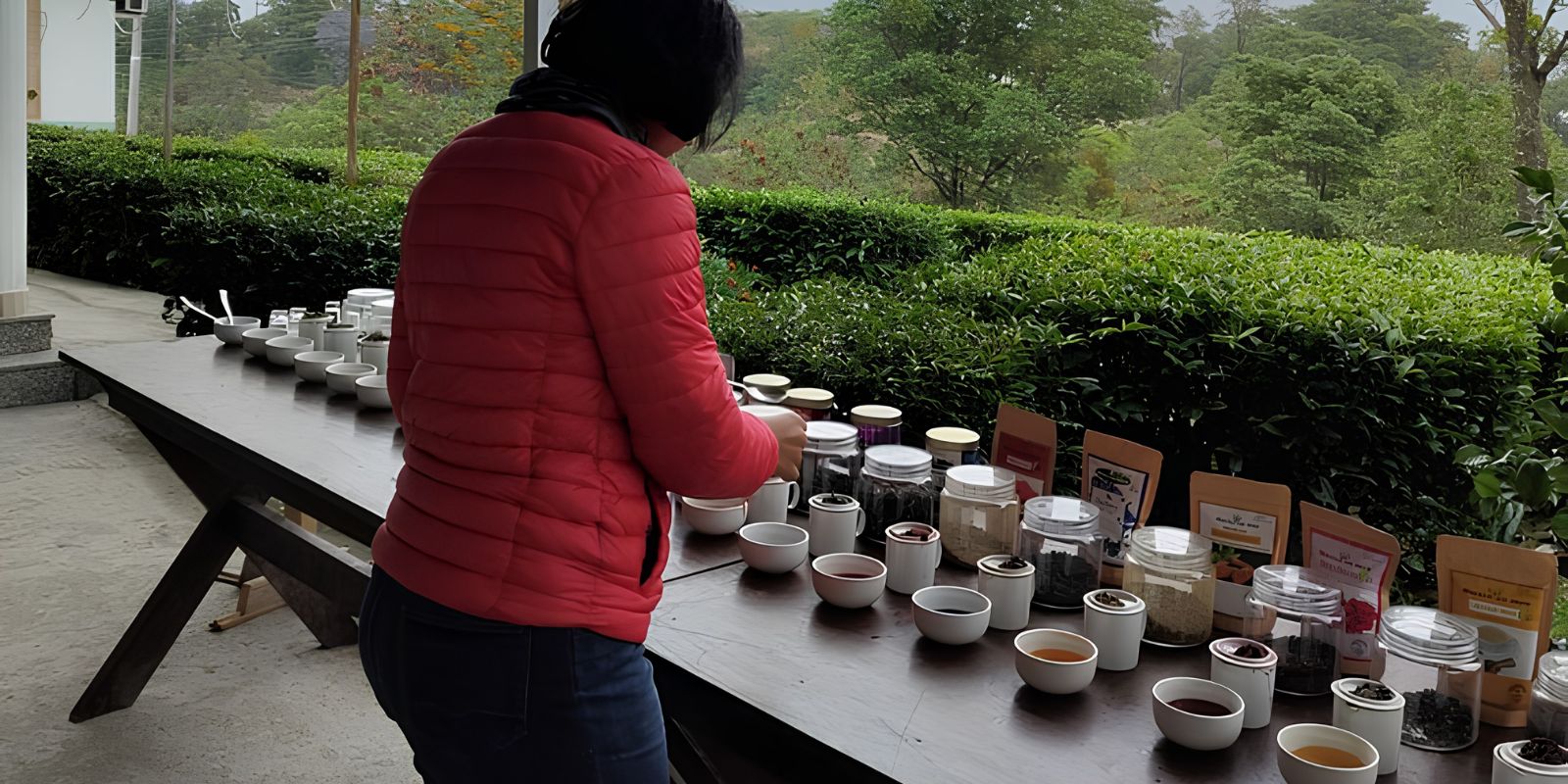 Palampur-Tea-Art-and-Dhauladhar-Landscapes-9.jpg